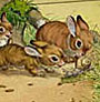 Illustration kleine Kaninchen