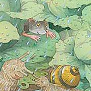Maus und Schnecken im Salatfeld