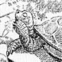 Schildkröte Bleistift Illustration